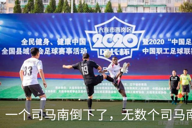 一个司马南倒下了，无数个司马南站起来了