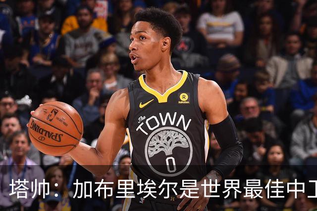 塔帅：加布里埃尔是世界最佳中卫之一，他在两个禁区的作用太强了