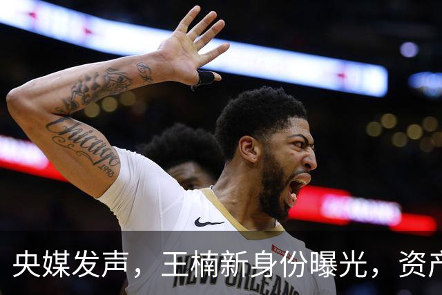 央媒发声，王楠新身份曝光，资产查封被带走调查传闻背后另有隐情