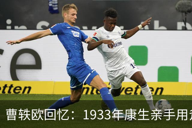 曹轶欧回忆：1933年康生亲手用斧头劈死了顾顺章家属！
