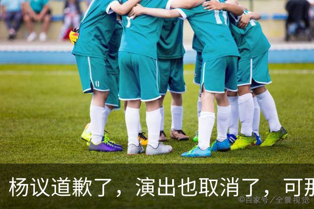 杨议道歉了，演出也取消了，可那句，“误会”，什么都没解决