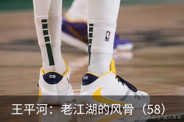 王平河：老江湖的风骨（5/8）