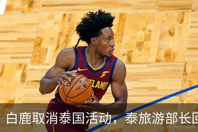 白鹿取消泰国活动，泰旅游部长回应惹争议