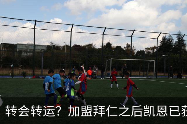 转会=转运？加盟拜仁之后凯恩已获5个冠军和1个金球奖
