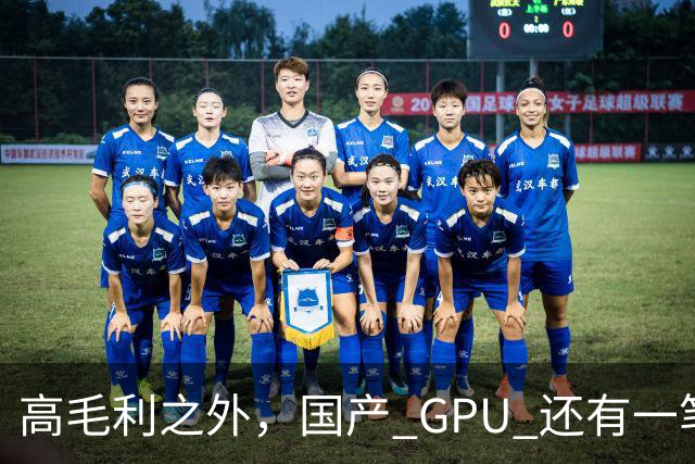 高毛利之外，国产 GPU 还有一笔 “软件账”